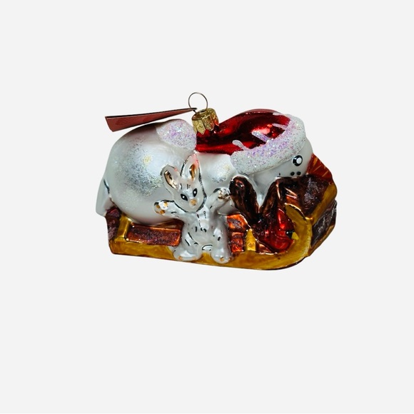 CHRISTOPHER RADKO SNOW RACER 1998 - Picture 9 of 9